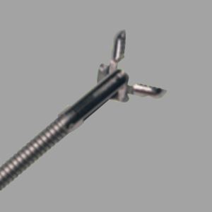 1.8 serie Gastrointestinale biopsi tang