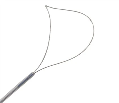 Endoskopisk engangs lune snare